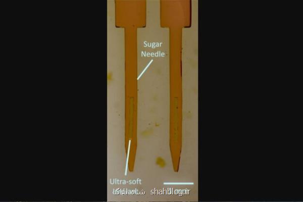 ساخت نرم ترین ایمپلنت مغز با سوزن قندی