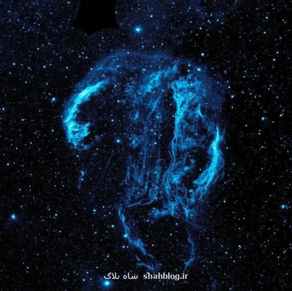 عروس دریایی در فضا یا جمجمه فضایی؟