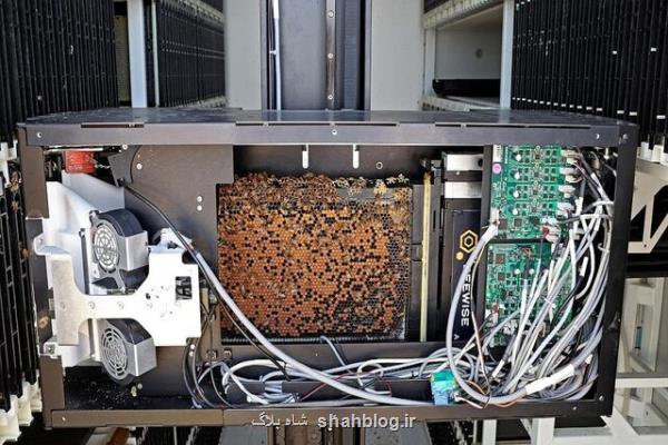 زنبورداری رباتیک و ساخت نخستین عسل با هوش مصنوعی