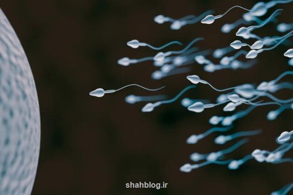 تاثیر عجیب دما در ناباروری مردان!