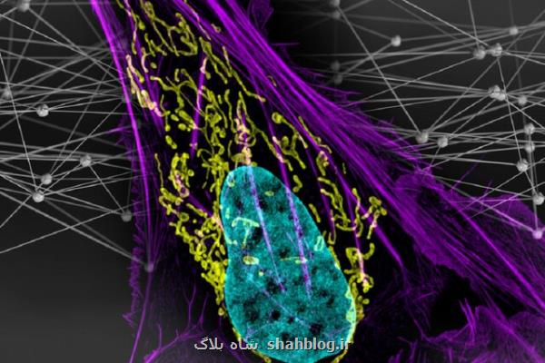 یک مدل کامپیوتری که جهش های عامل سرطان را شناسایی می کند