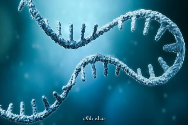 ابداع متد جدیدی که می تواند درمان سرطان را متحول کند