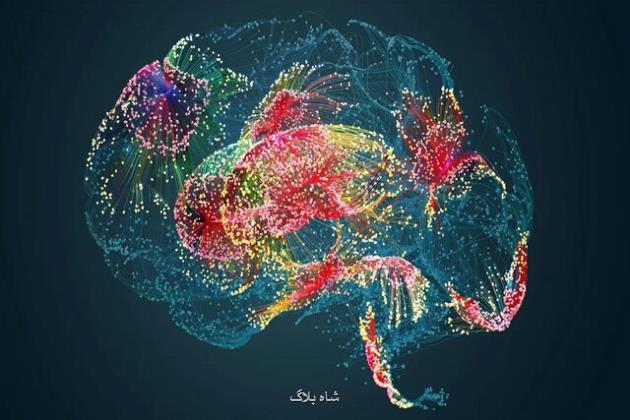 حل یک معمای 70 ساله در مورد اسکیزوفرنی