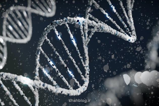 تاثیر عجیب ژن های کوتاه بر پیری سریع و مرگ افراد