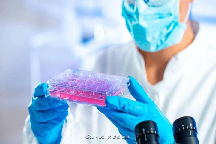 میکروب های روده، عوارض شیمی درمانی را می کاهد