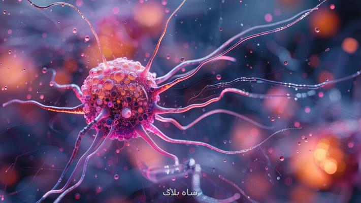 هوش مصنوعی ۱۷۰ سرطان را با دقت و سرعت بالا تشخیص می دهد