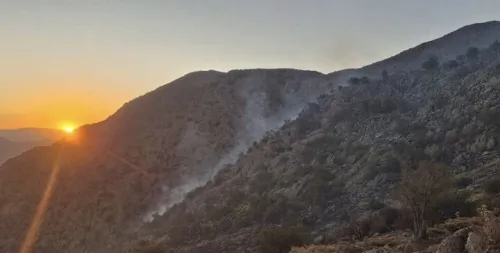 8 فناوری نوظهور برای کاهش ریسک حریق های جنگلی