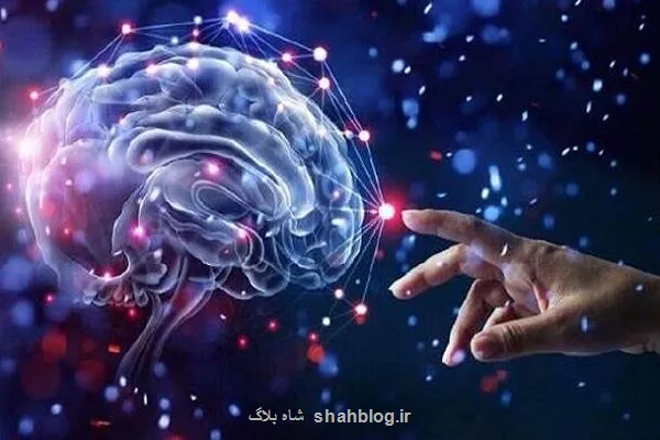 ضرورت همکاری فناورانه برای پیشتازی کشورهای اسلامی در حوزه سلامت شناختی