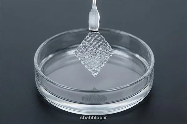 هیدروژل نانویی که حرکات بدن را لحظه ای رصد می کند