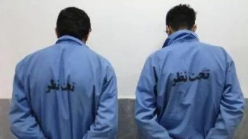 سرقت سریالی دوقلو های چشم آبی از سالمندان