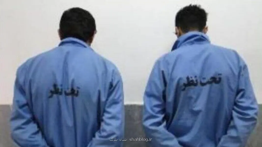 سرقت سریالی دوقلو های چشم آبی از سالمندان