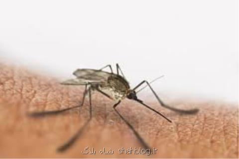 پژوهشگران به دنبال یك روش نوین برای از بین بردن مالاریا در كبد