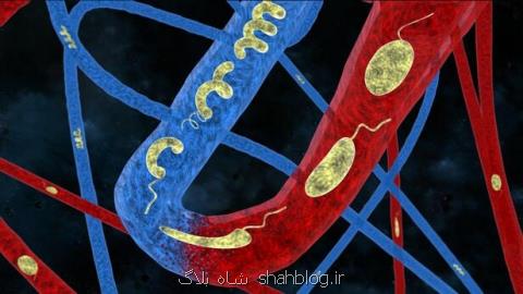 میكروربات هایی كه با تغییر شكل از رگ ها عبور می كنند!