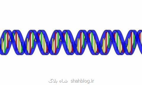 ساعت زیستی بدن میزان مبتلاشدن به بیماری های روحی را تعیین می كند