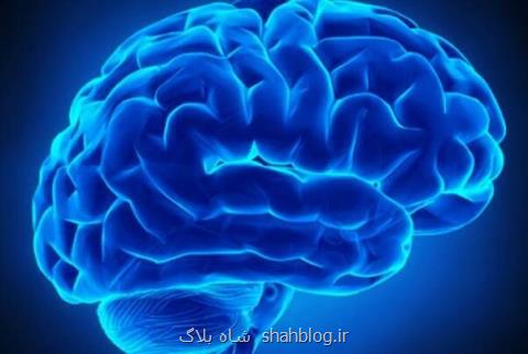 انتشار دستاوردهای حوزه تصویربرداری نوری در مجلات بین المللی