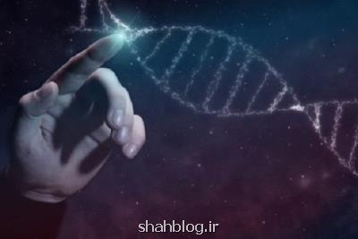 تهیه مجموعه سلولی حیوانات، شناسنامه دار شدن رده های سلولی