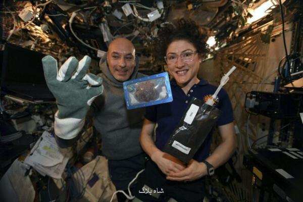 فضانوردان در ایستگاه فضایی كلوچه پختند و به زمین فرستادند