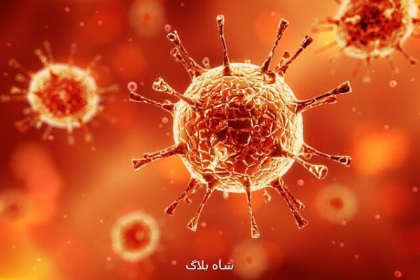 كشف دو داروی موثر در توقف رشد سلول های سرطانی