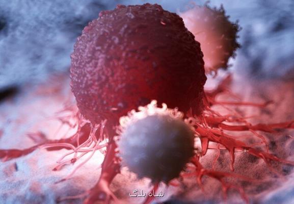 درمان تومورهای پیشرفته با تولید سریع تر سلول های تی
