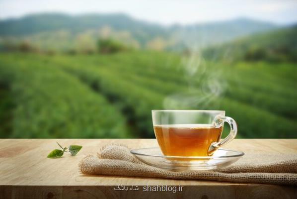 بهبود تمركز با نوشیدن چای